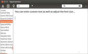 You can enter custom text and adjust its size.
